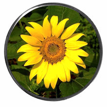 Load image into Gallery viewer, PM-823 Yellow Daisy Photo Metal Badge Holder - Pack of 3
