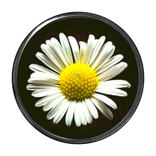 Load image into Gallery viewer, PM-827 Daisy Photo Metal Badge Holder - Pack of 3
