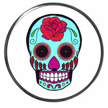 Load image into Gallery viewer, PM-SKULL2 Blue Skull Photo Metal Badge Holder - Pack of 3
