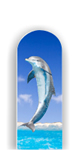 Glass Nail File: Dolphin