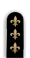 Glass Nail File: Gold Fleur de Lis