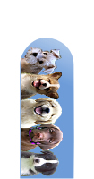 Glass Nail File: Puppies