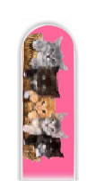 Glass Nail File: Cats